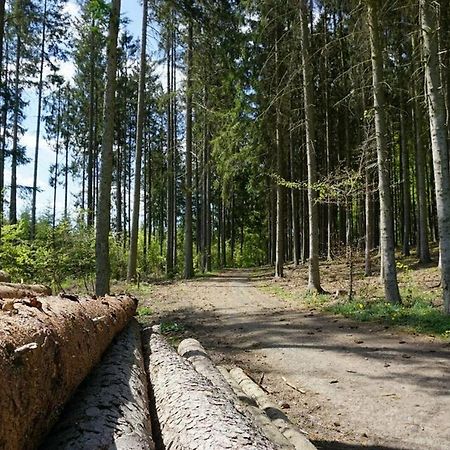 Seepark Kirchheim Ferienhaus Bei Diane Mit Sauna 外观 照片